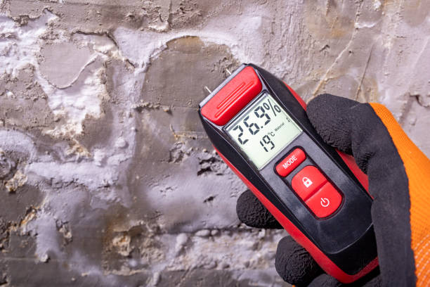 Best Emergency Mold Removal  in Landis, NC