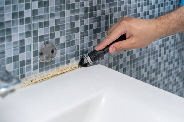 Best Toxic Mold Removal  in Landis, NC